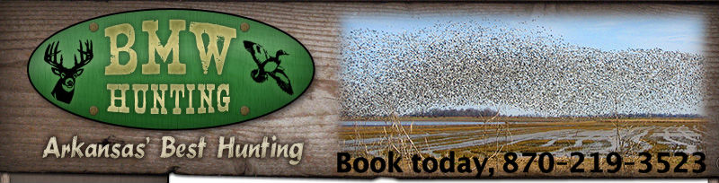 Arkansas Hunting Properties